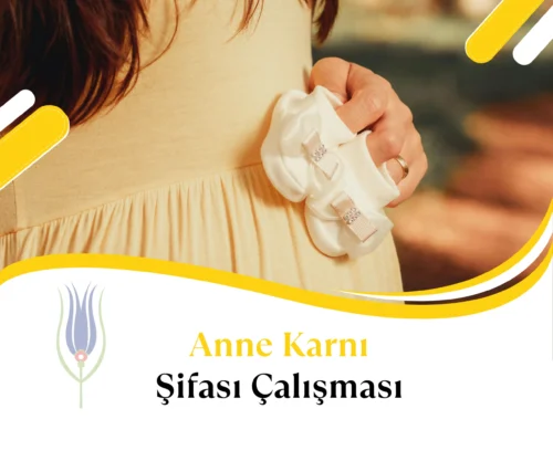 Gülay Gecü ile Anne Karnı Şifası çalışmasına katılın. Hamilelik döneminde kaydedilen olumsuz duyguları ve doğum travmalarını dönüştürerek hayata güvenle bağlanın.