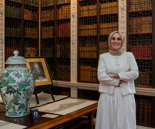 Aile Dizimi Eğitimi, online aile dizimi kursu, e-devlet onaylı aile dizimi, uluslararası sertifikalı aile dizimi,