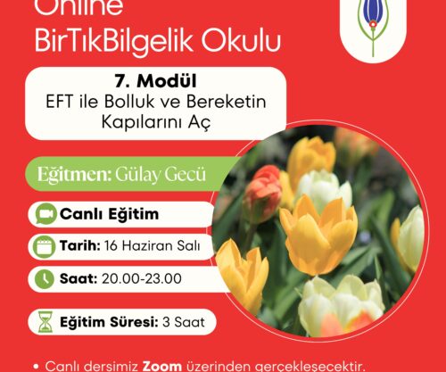 7. MODÜL – EFT ile Bolluk ve Bereketin Kapılarını Aç