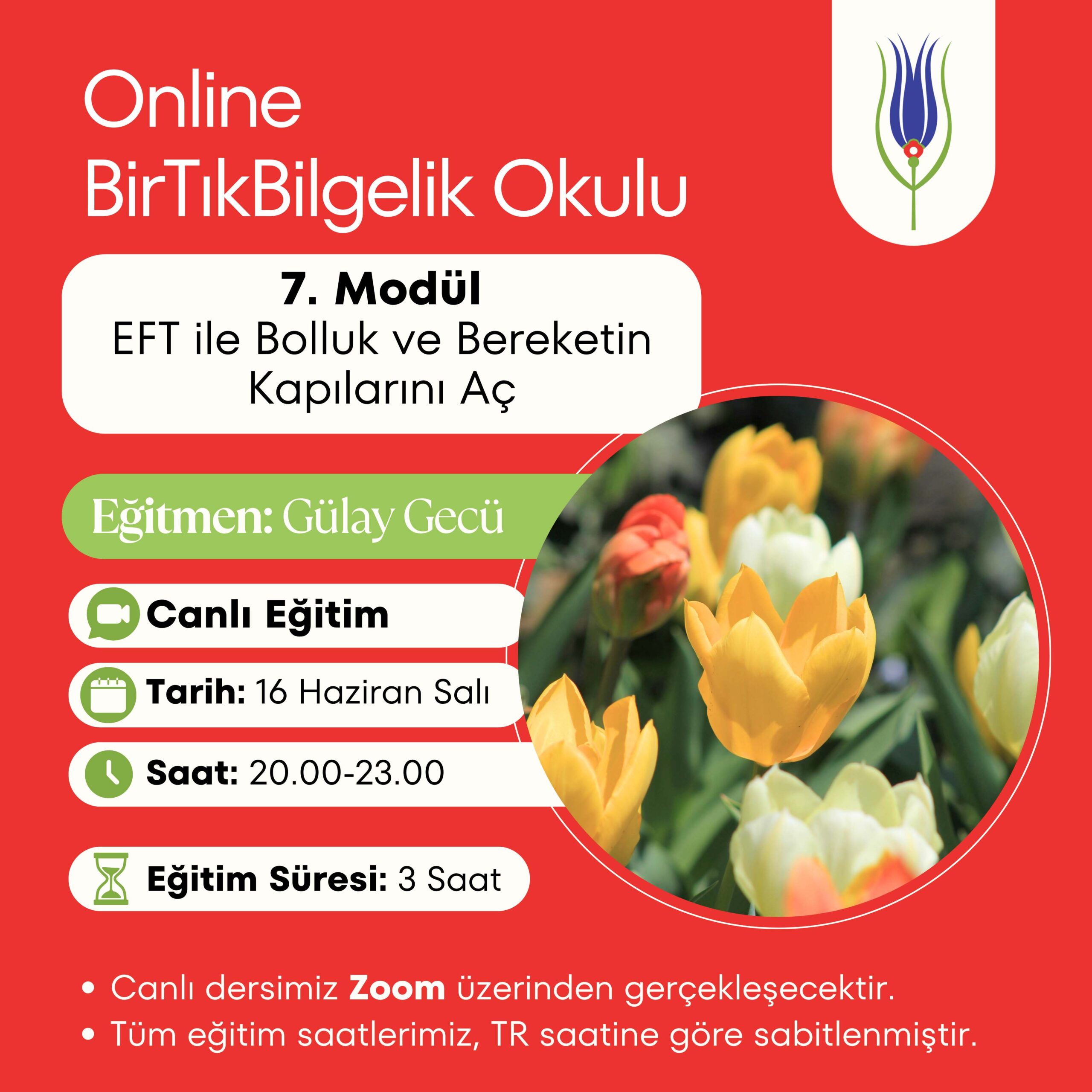 7. MODÜL – EFT ile Bolluk ve Bereketin Kapılarını Aç