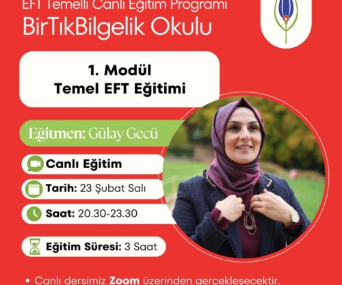 Bir Tık Bilgelik Okulu, EFT temel eğitimi, canlı ders formatında yapılandırılmış 7 modüllük bir eğitim programıdır. Program, duygusal düzenleme, ilişki örüntüleri, sınır koyma ve bilinçaltı inançlarla çalışmayı hedefler.