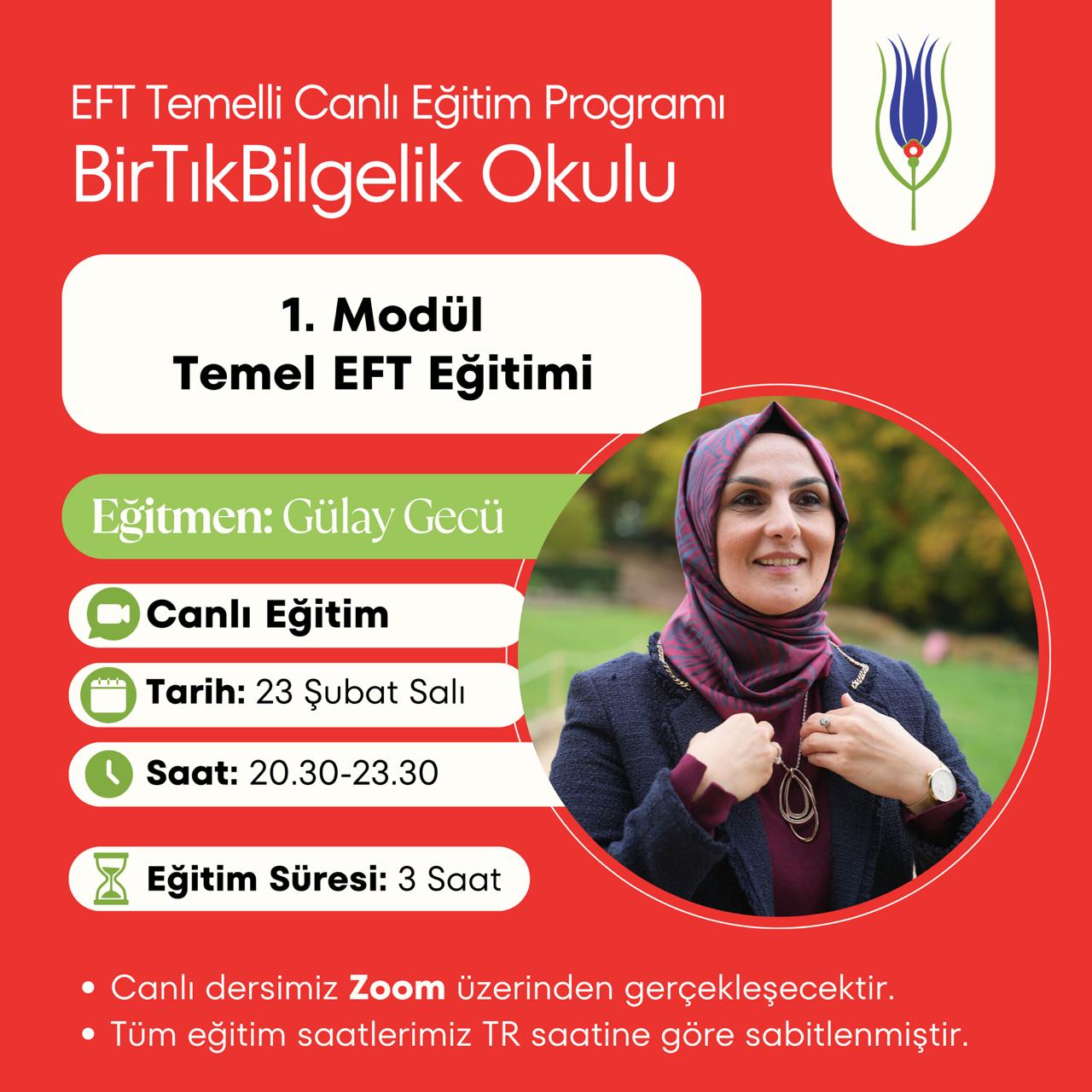 Bir Tık Bilgelik Okulu, EFT temel eğitimi, canlı ders formatında yapılandırılmış 7 modüllük bir eğitim programıdır. Program, duygusal düzenleme, ilişki örüntüleri, sınır koyma ve bilinçaltı inançlarla çalışmayı hedefler.