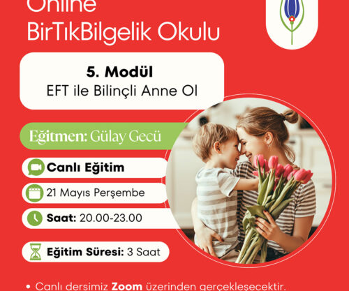 5. MODÜL – EFT ile Bilinçli Anne Ol