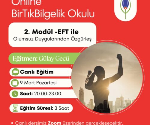 Bir Tık Bilgelik Okulu, EFT temel eğitimi, canlı ders formatında yapılandırılmış 7 modüllük bir eğitim programıdır. Program, duygusal düzenleme, ilişki örüntüleri, sınır koyma ve bilinçaltı inançlarla çalışmayı hedefler.