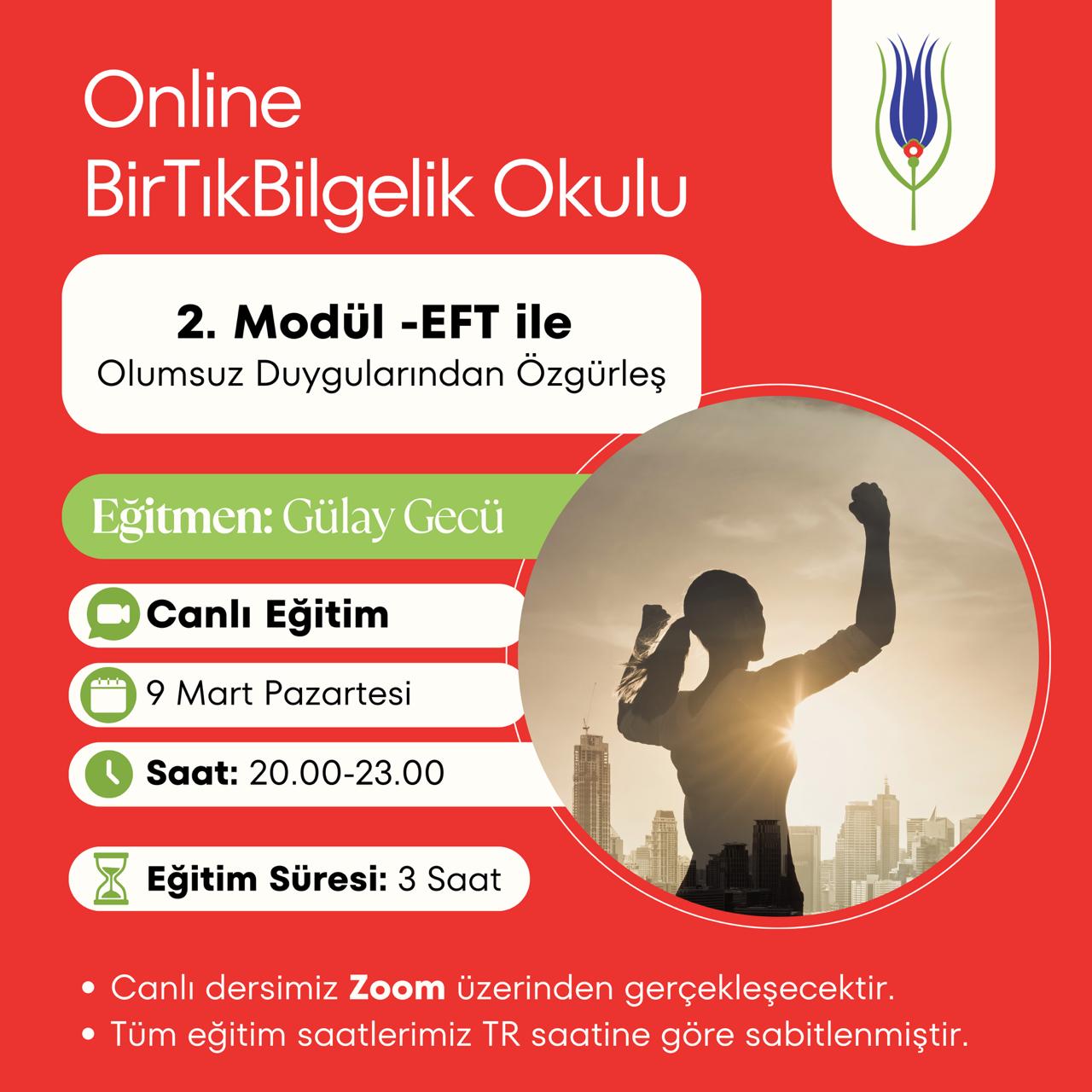 2. MODÜL – EFT ile Olumsuz Duygularından Özgürleş