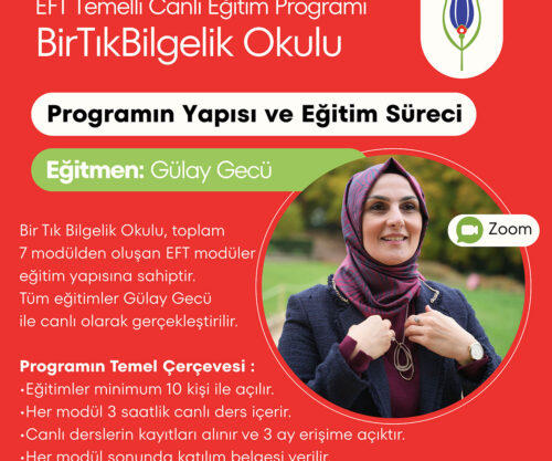 Tüm Modüller - Bir Tık Bilgelik Okulu